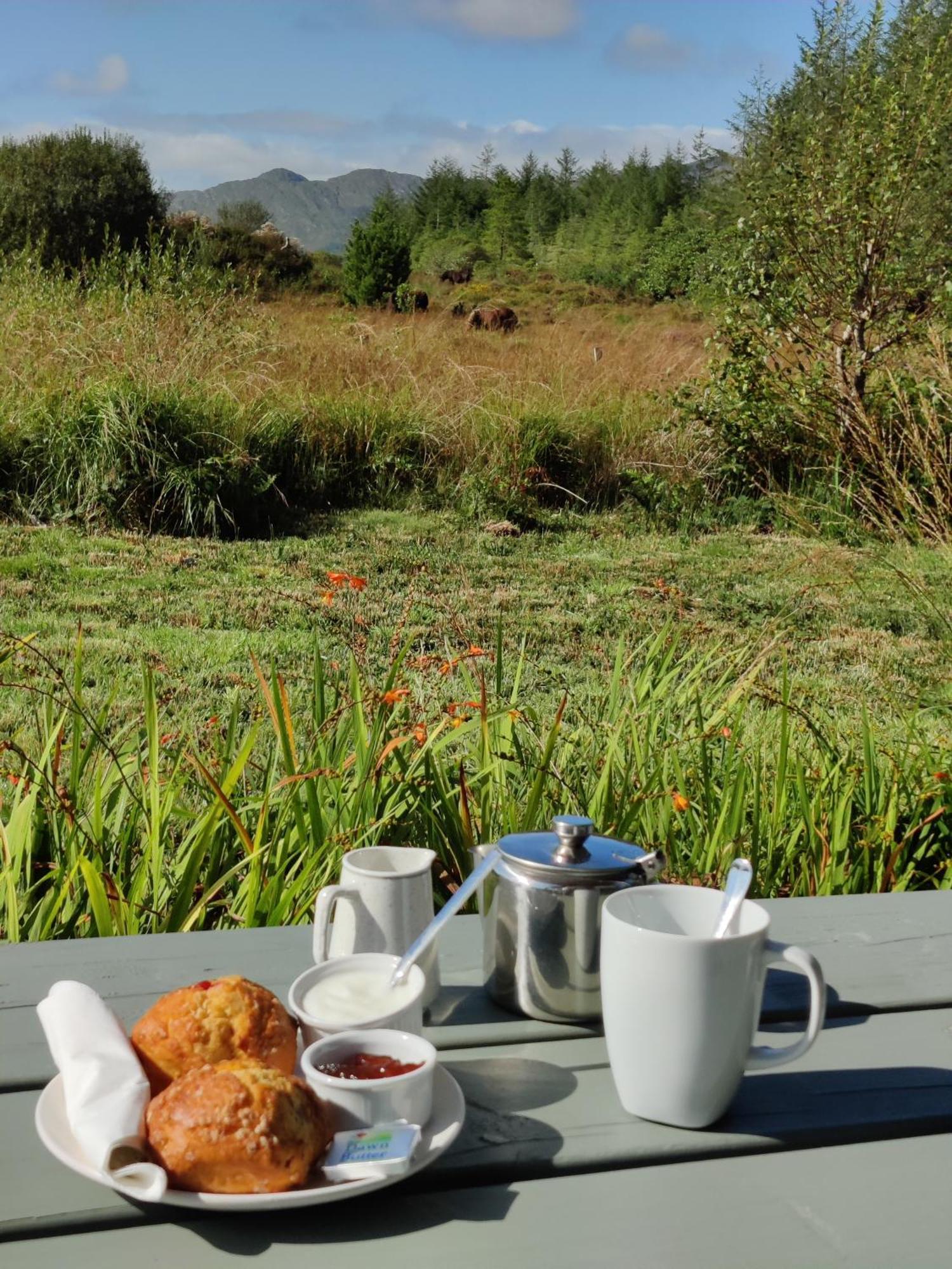 Alaind Lodges, Sneem Εξωτερικό φωτογραφία